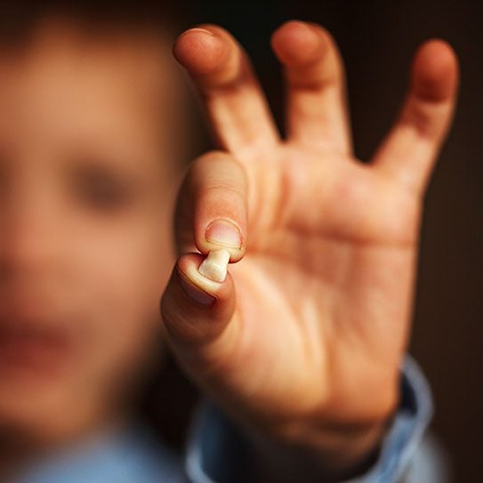 South Bay Dentistry -